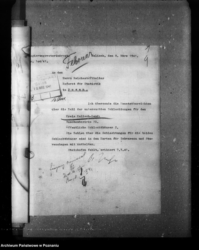 Obraz 13 z jednostki "Statistik über Fleischbeschau und Schlachtungen"
