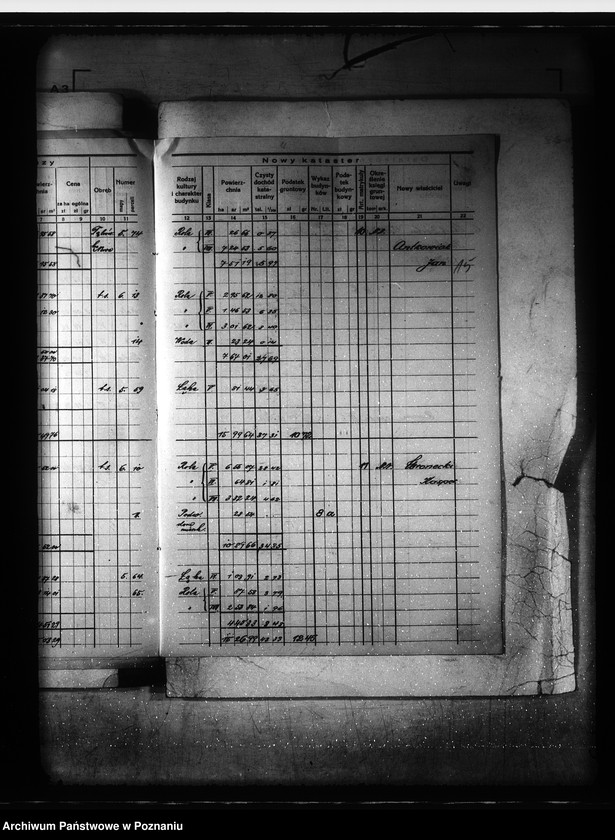 Obraz 19 z jednostki "Ostateczny rejestr pomiarowy Dąbrówki Nowej powiat bydgoski"