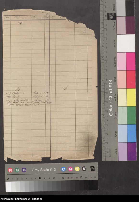 Obraz 4 z jednostki "A. betr. die Zuzüge zu den Insurgenten nach Polen vom Auslande /Deutsche, Franzosen, Italiener, Engländer, Dänen…/"