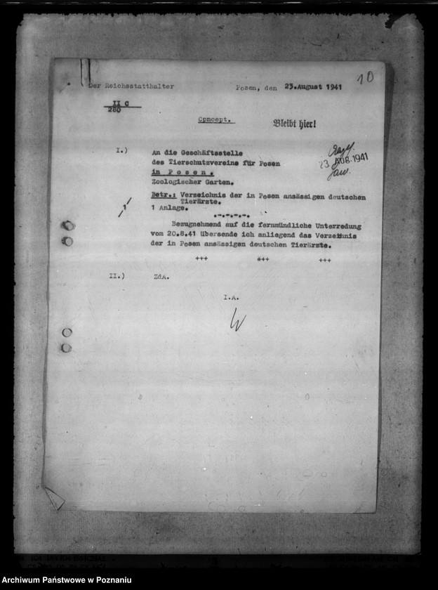 Obraz 14 z jednostki "Tierquälerei an Pferden. Scheuklappen."