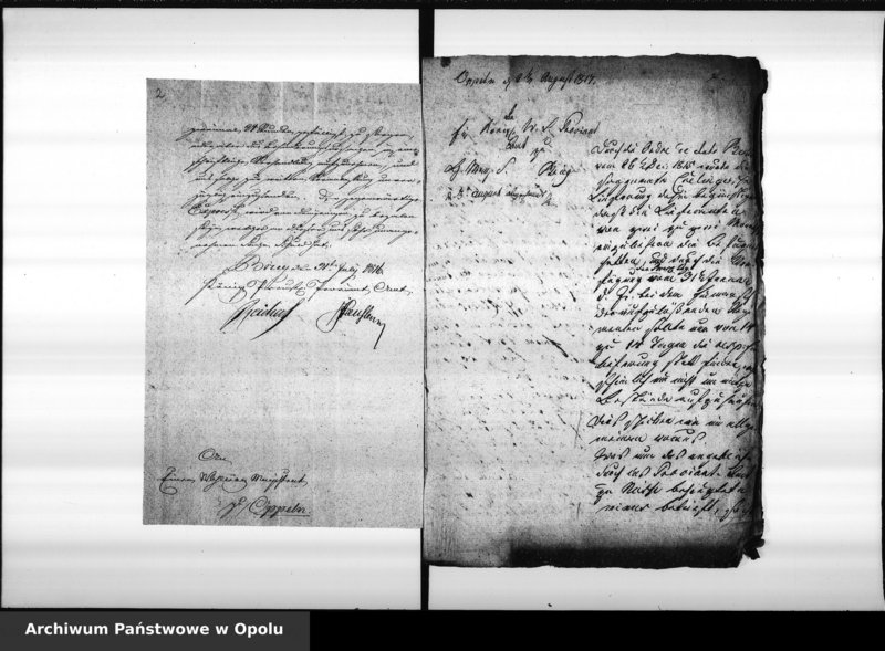 Obraz 6 z jednostki "Acta des Magistrats zu Oppeln betreffend die Manquements des Magazin Rendanten Schreiber pro 1816 Vol. I"