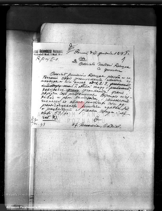 Obraz 5 z jednostki "Majętność Biskupiec powiat koniński /sprawa ustalenia granicy lasu/"