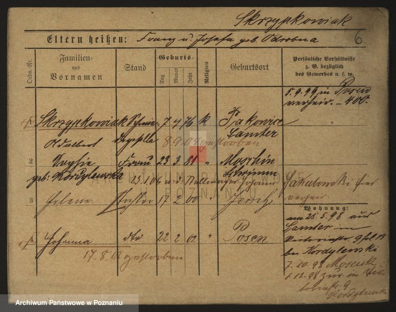 Obraz 15 z jednostki "Skrzypkowiak - Skórnik"