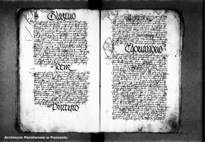 Obraz 16 z jednostki "Inscriptiones, relationes, decreta [inducta]"