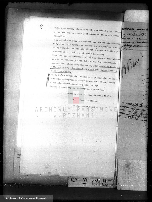 Obraz 12 z jednostki "Nadzór nad gospodarką w lasach majętności Gorzno-Biniew powiat ostrowski"