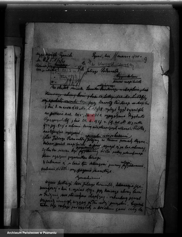 Obraz 13 z jednostki "Krzywekolano powiat mogileński /las Juliuszy Rodenwalda/"