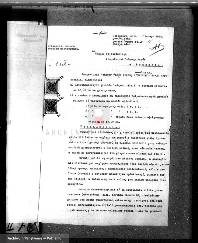 Obraz 20 z jednostki "Nadzór nad gospodarką w lasach majątku Dziadkowo powiecie gnieźnieńskim"