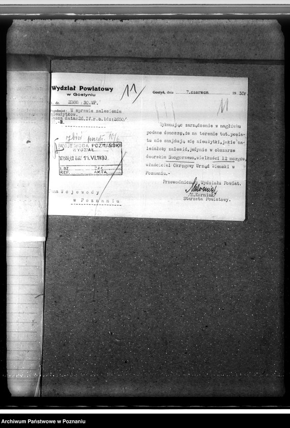 Obraz 15 z jednostki "Zalesienie nieużytków w powiecie gostyńskim"