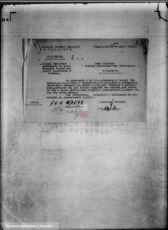 Obraz 7 z jednostki "Towarzystwo Hodowców Gołębi Pocztowych,,Lot Pocztowy" w Wągrowcu"