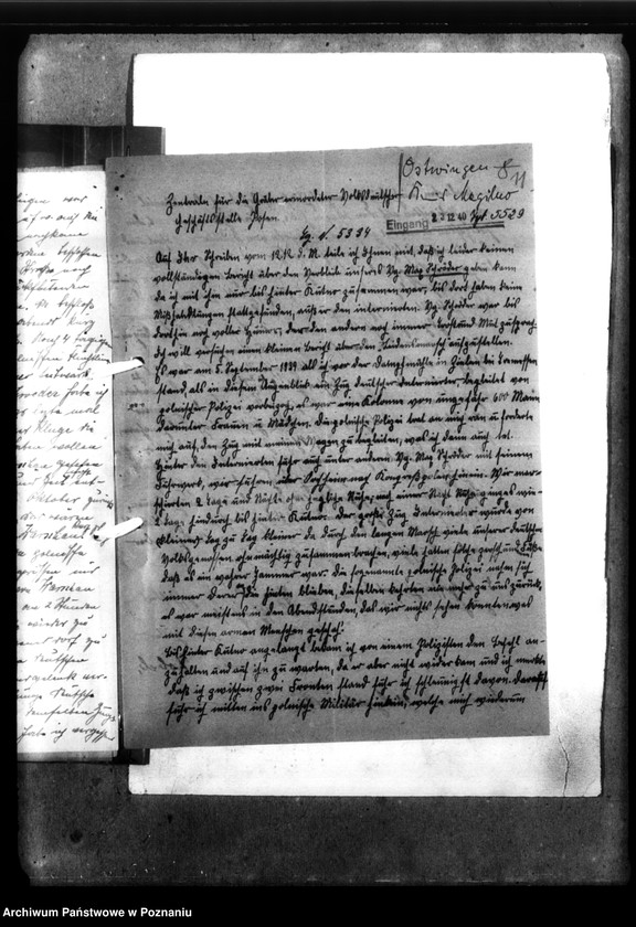 Obraz 17 z jednostki "Max Schroeder aus Freihof, Kreis Mogilno"