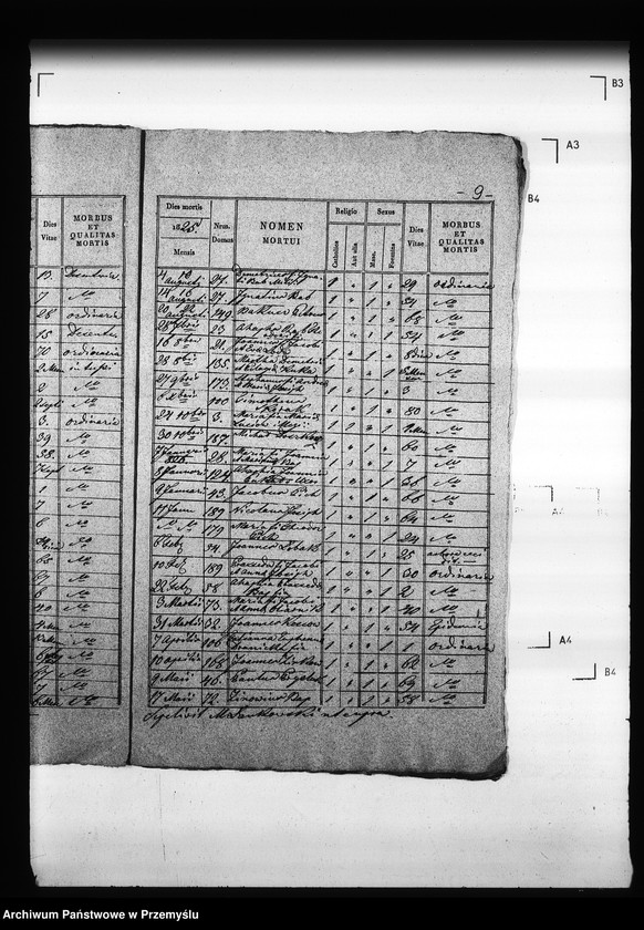 Obraz 13 z jednostki "[Kopie ksiąg metrykalnych parafii Trościaniec (dekanat Niemirów)]"