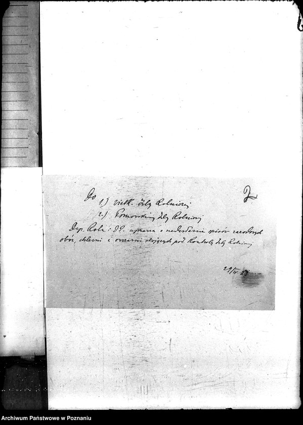 Obraz 6 z jednostki "Sprawy szczegółowo-administracyjne Bydło"