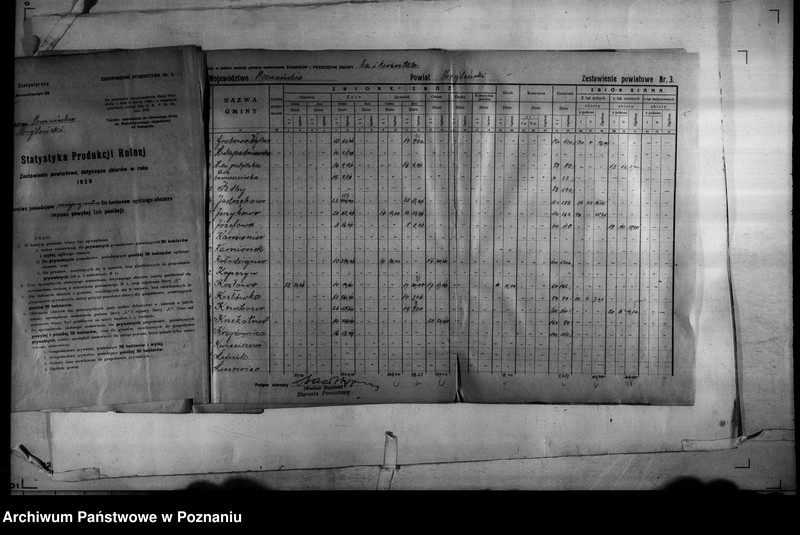 Obraz 9 z jednostki "/Statystyka produkcji rolnej - zestawienie powiatowe - Mogilno/"
