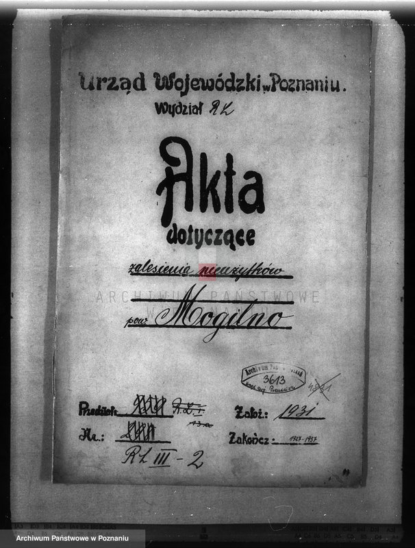 Obraz 4 z jednostki "Zalesienie nieużytków w powiecie mogileńskim"