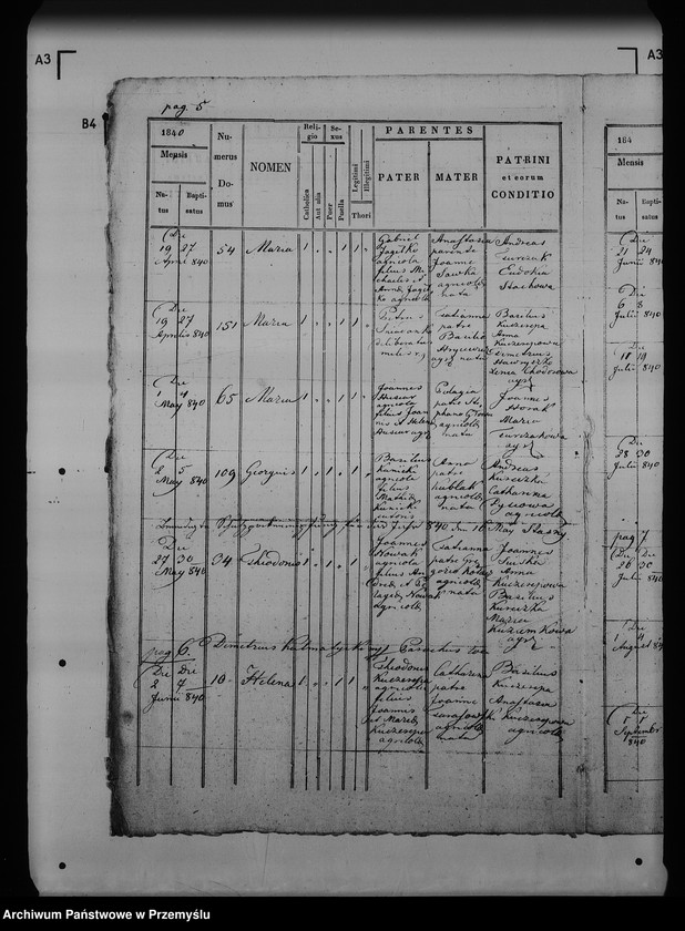 Obraz 10 z jednostki "[Kopie ksiąg metrykalnych parafii Maćkowice z filią Kosienice (dekanat Przemyśl)]"