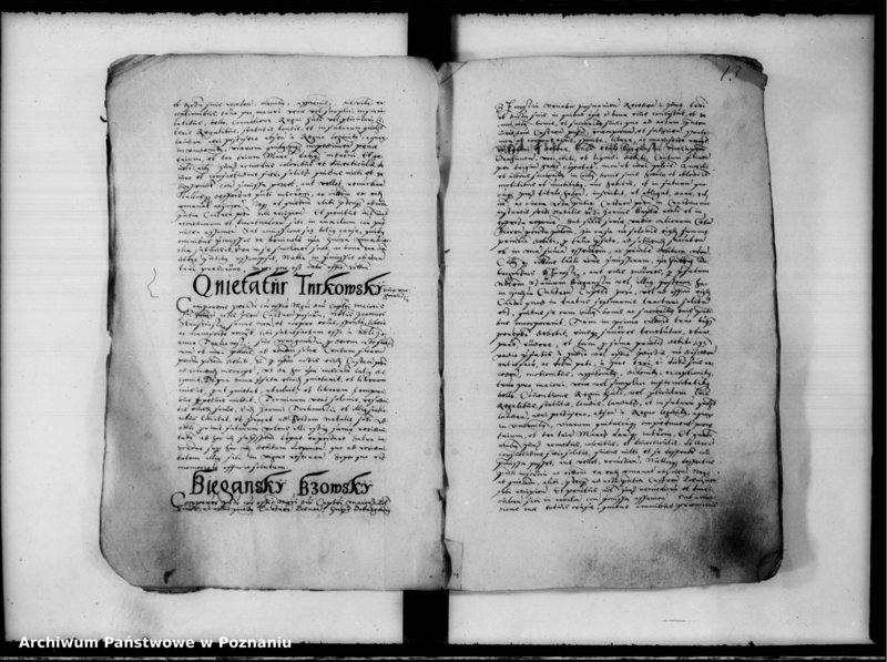 Obraz 14 z jednostki "Inscriptiones, relationes [inducta]"