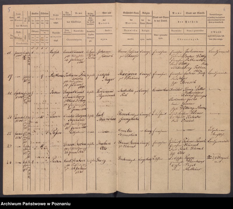 Obraz 6 z jednostki "[Akta urodzeń i chrztów, zgonów i pogrzebów, zapowiedzi i ślubów]"