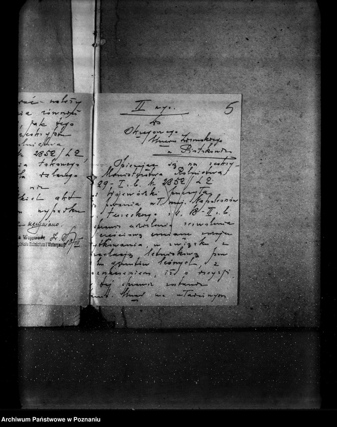 Obraz 9 z jednostki "Las majątku Napoleonów nr 1 własność Eweliny Wisłockiej powiat turecki"