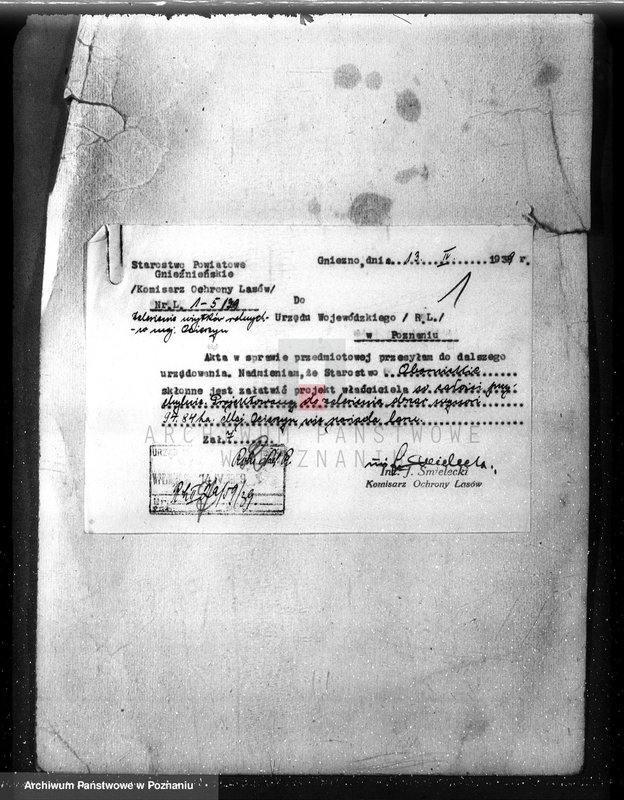 image.from.unit.number "Las majętność Ocieszyn powiat obornicki"