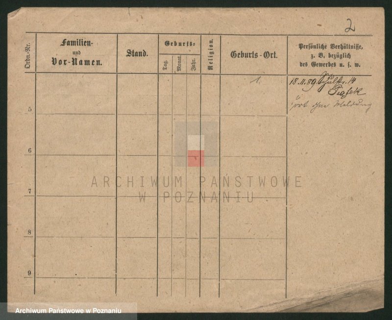 Obraz 2 z jednostki "Palecek - Paluszewski"