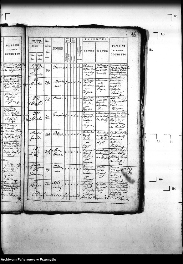 Obraz 19 z jednostki "[Kopie ksiąg metrykalnych parafii Krzywa z filią Banica (dekanat Gorlice)]"