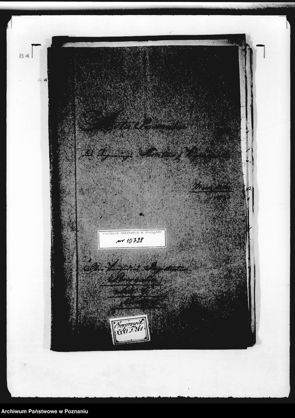 Obraz 4 z jednostki "Personalia des Regierungssekretärs Herrn Wieruszewski."