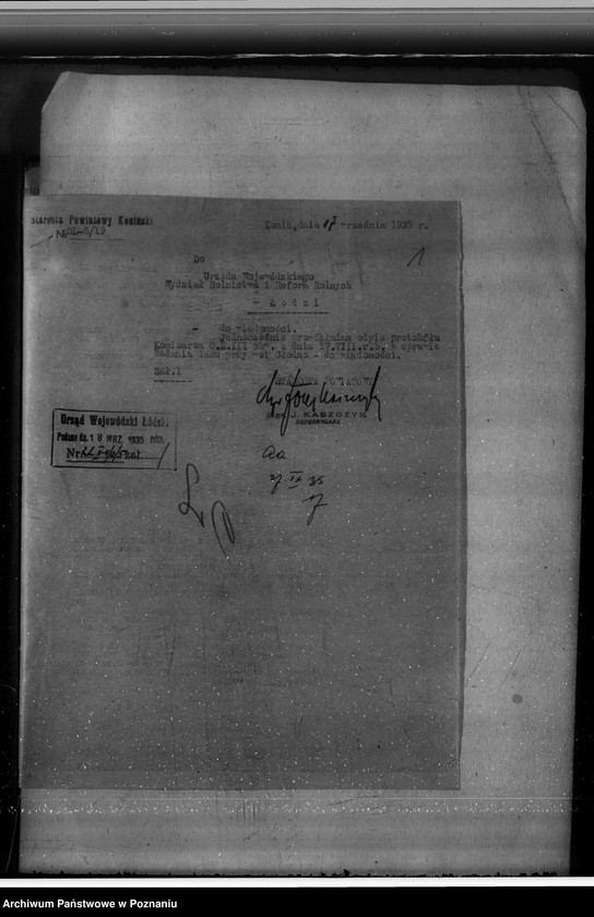 Obraz 5 z jednostki "Gmina Brzeźno powiat koniński /nadzór nad gospodarką leśną/"