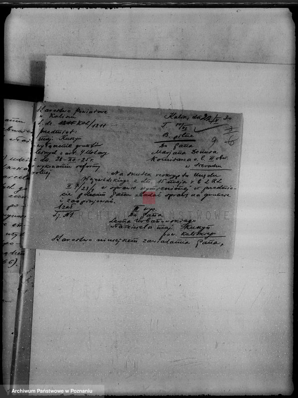 Obraz 13 z jednostki "Majątek Kuszyn powiat kaliski /sprawy leśne/"