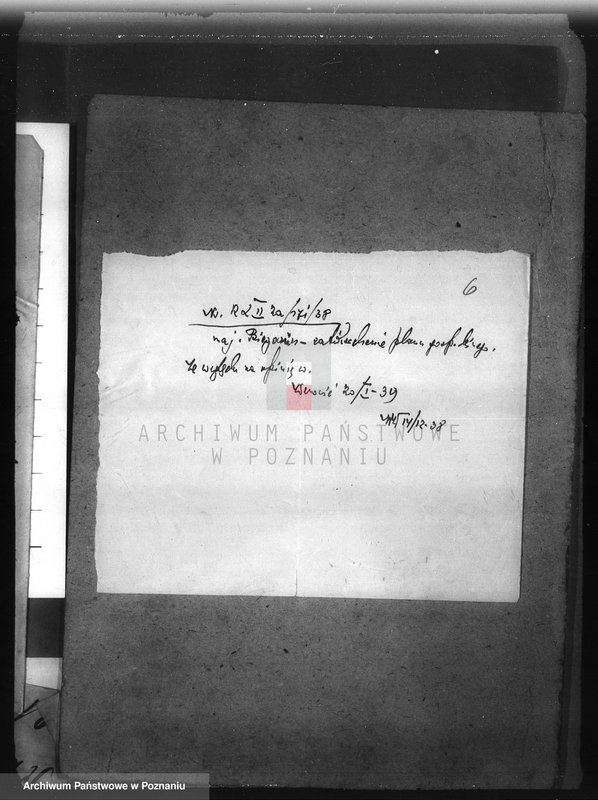 Obraz 10 z jednostki "Las majętności Bieganin powiat obornicki"