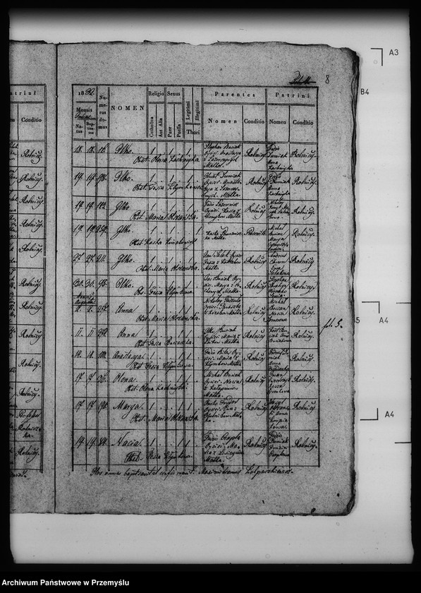 Obraz 12 z jednostki "[Kopie ksiąg metrykalnych parafii Nahujowice (dekanat Drohobycz)]"