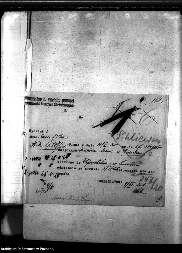 Obraz 16 z jednostki "Nosacizna - Tczew"