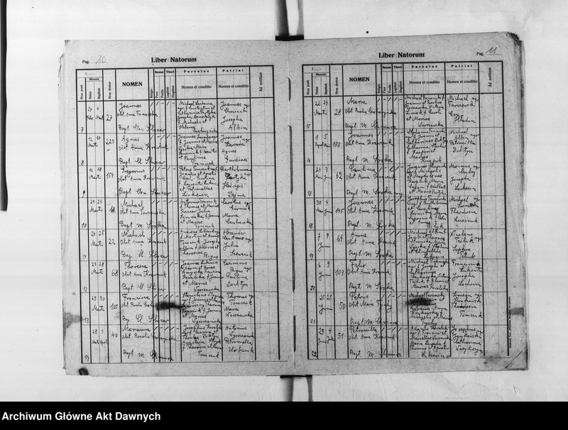 image.from.unit.number "Parafia: Skałat. Dekanat: Skałat. Księga metrykalna urodzeń dla wsi Panasówka*."