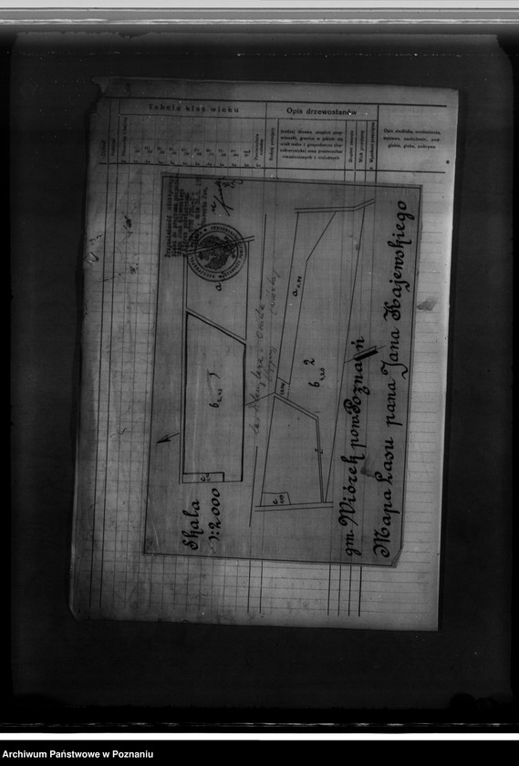Obraz 14 z jednostki "Program gospodarczy dla lasu J. Kajewskiego w gminie Wiórek powiat poznański 1929-1939"