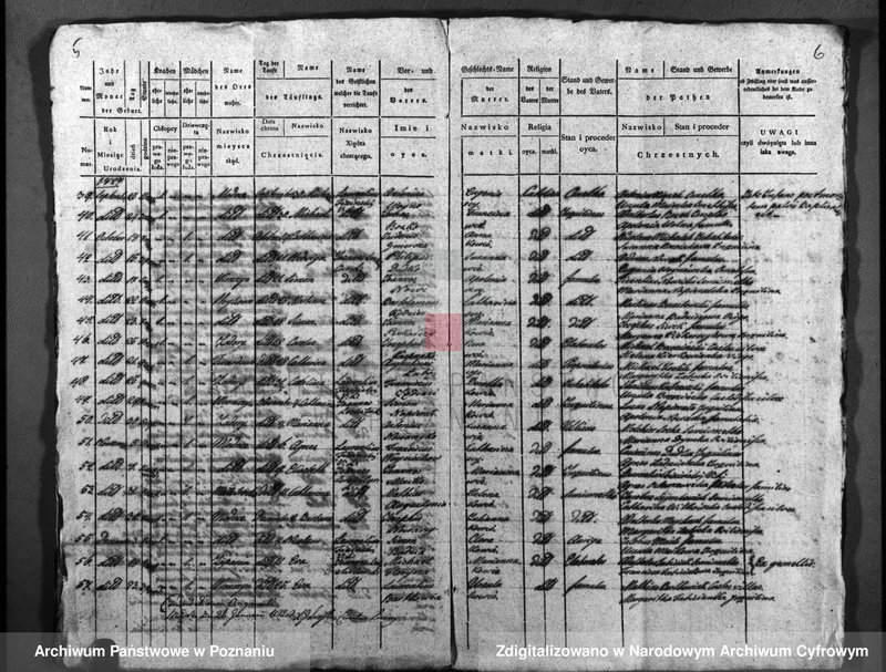image.from.unit.number "Duplicatus baptisatorum, copulatorum, mortuorum"