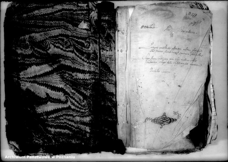 Obraz 4 z jednostki "Relationes [protocollon]"