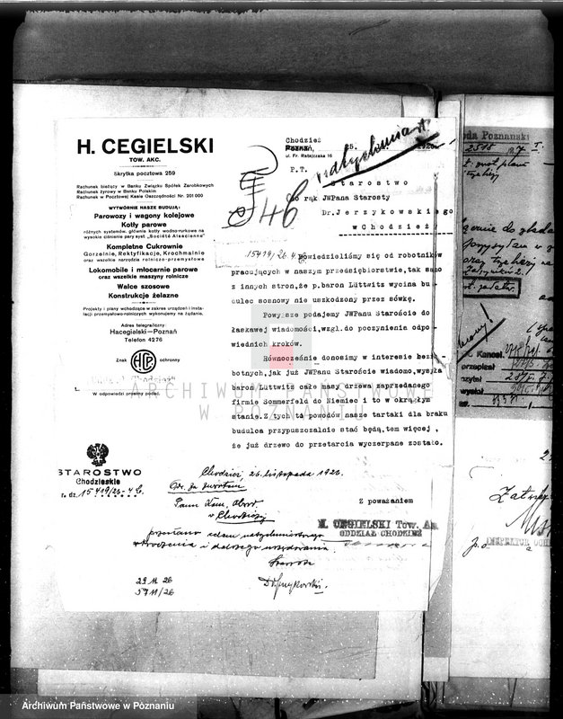 Obraz 12 z jednostki "Majętność leśna Oleśnica w powiecie chodzieskim"