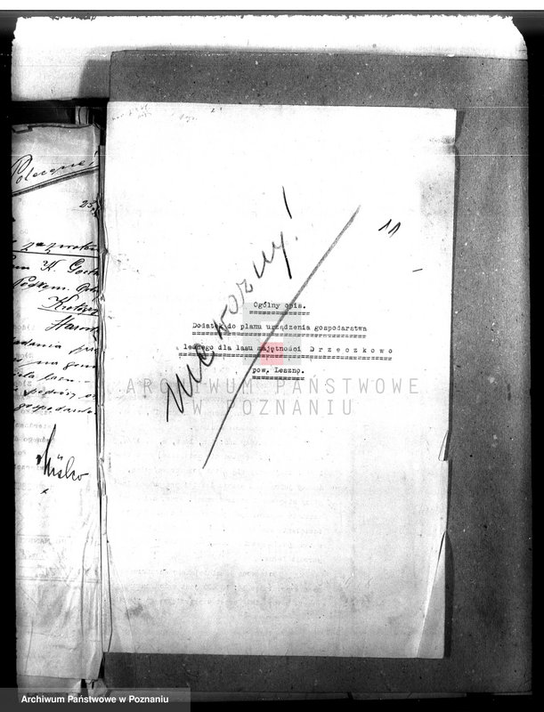 Obraz 15 z jednostki "Majętność leśna Drzeczkowo powiat leszczyński"