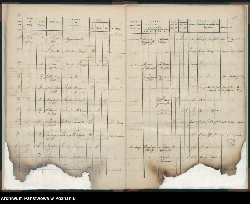 Obraz 10 z jednostki "Księga zgonów"