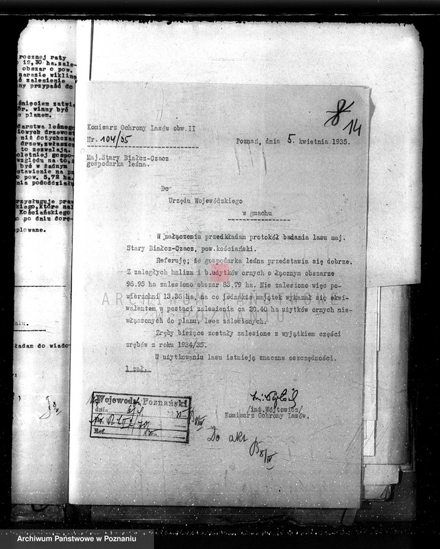 Obraz 18 z jednostki "Nadzór nad gospodarką w lasach majętności Czacz-Białcz powiat kościański"