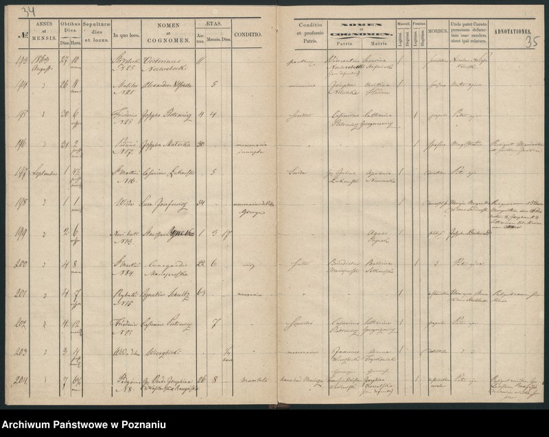 Obraz 20 z jednostki "Księga zgonów"