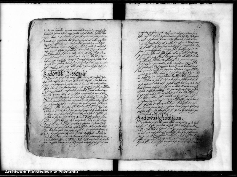 Obraz 19 z jednostki "Inscriptiones, relationes [inducta]"