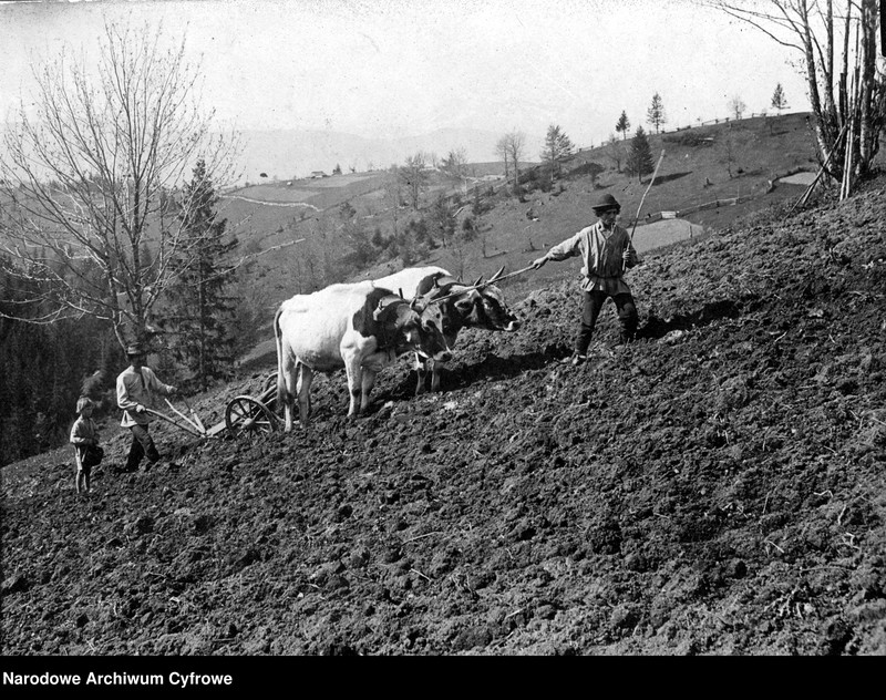 image.from.collection.number "Wiosna, ach to Ty!111"