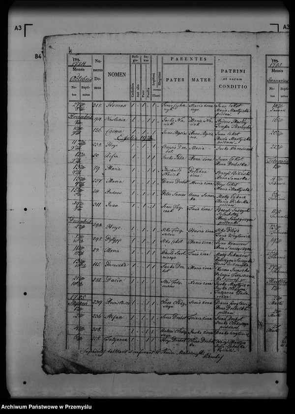 Obraz 8 z jednostki "[Kopie ksiąg metrykalnych parafii Turze (dekanat Rozłucz)]"