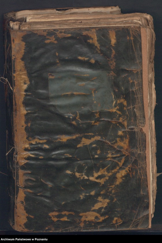 Obraz 3 z jednostki "Acta consularia civitatis Posnaniae."