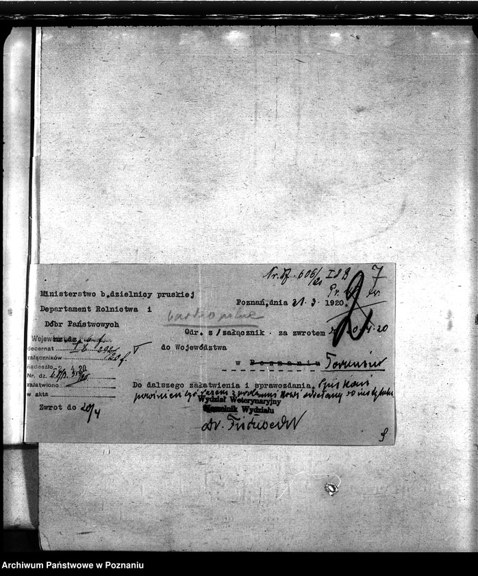 Obraz 11 z jednostki "Nosacizna - Puck"