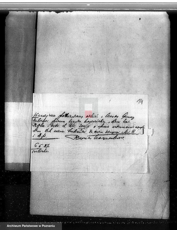 Obraz 17 z jednostki "Las miasta Tuliszkowo powiat koniński"