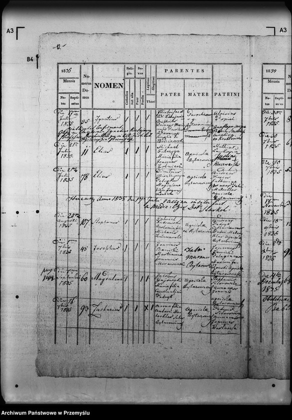 Obraz 16 z jednostki "[Kopie ksiąg metrykalnych parafii Rajtarowice z filiami Rogóźno, Sadkowice (dekanat Mościska)]"