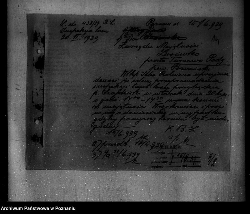 Obraz 18 z jednostki "Nadzór nad gospodarką w lasach majętności Lusówko powiatu poznańskiego"