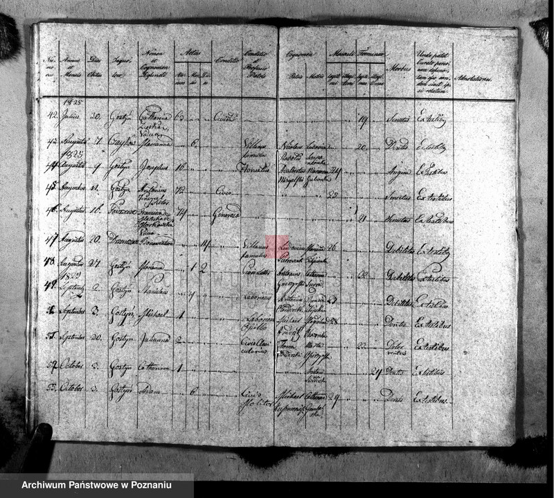image.from.unit.number "Liber baptisatorum, copulatorum, mortuorum"