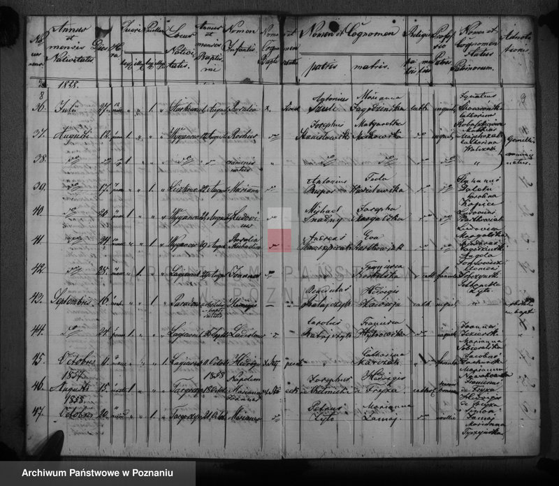 image.from.unit.number "Księga urodzeń, małżeństw i zgonów"